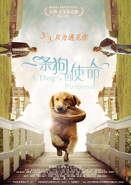 欧美日韩国产在线一区